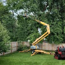Best Tree Maintenance Programs  in Tahoma, CA
