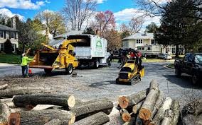 Pest Control for Lawns in Tahoma, CA