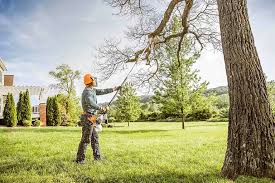Best Weed Control  in Tahoma, CA