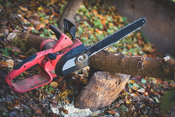 Best Hazardous Tree Removal  in Tahoma, CA
